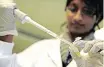  ?? ITUMELENG ENGLISH | ?? DOCTORAL student Jinal Bhiman performs a gel extraction to isolate DNA at the National Health Laboratory Service.