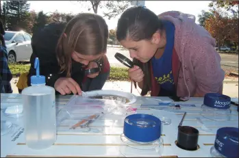  ?? NEWS-SENTINEL PHOTOGRAPH­S BY DANIELLE VAUGHN ?? Above and below: Melanie Martinez’s sixth-grade class from Reese Elementary tested the water health at four sites in Lodi Lake on Wednesday morning by counting the microinver­tebrates collected from leaf packs they previously placed at each site.