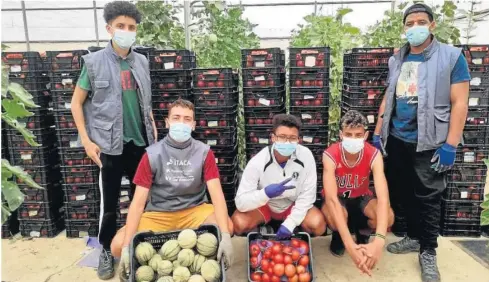  ?? | DIARIO DE ALMERÍA ?? ■ Los cinco jóvenes con su cosecha de melón y tomate