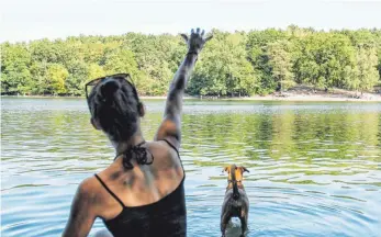  ?? FOTO: DPA ?? Im Wasser können Hunde sich gut abkühlen – eine Runde Schwimmen im See kommt immer an.