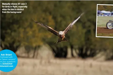  ?? ?? Manually choose AF case 3 for birds in flight, especially when the bird is distinct from the background
Ask Brian! Confused with your Canon camera? Send your questions to EOSSOS@ futurenet.com