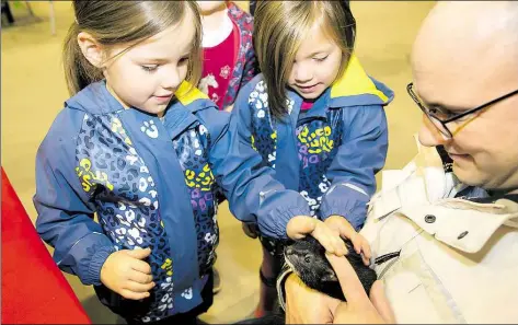  ?? BILD: SASCHA STÜBER ?? Darf ich auch mal anfassen? Die fünfjährig­en Schwestern Lili und Mira aus Oldenburg durften das Frettchen in den Händen ihres Papas Dirk Hanken sogar behutsam streicheln.