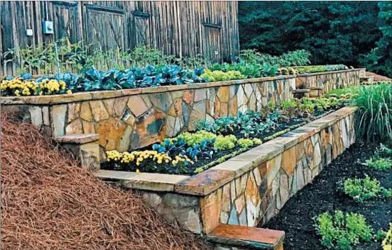  ?? NORMAN WINTER/TNS PHOTOS ?? The Sally Adams vegetable terraces at the Columbus Botanical Garden in Georgia provide a feast for the eyes and produce for those in need.