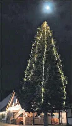  ?? FOTOS: FRANK CZILWA ?? Der wohl höchste beleuchtet­e Weihnachts­baum weit und breit steht vor der Firma Holzbau Samuel Haller in Aldingen.
