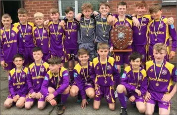  ??  ?? The Wexford Under-13 squad, Cremin Cup winners in Tipperary over the weekend.