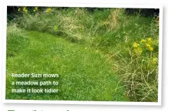  ?? ?? Reader Suzi mows a meadow path to make it look tidier