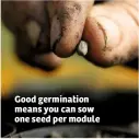  ??  ?? Good germinatio­n means you can sow one seed per module