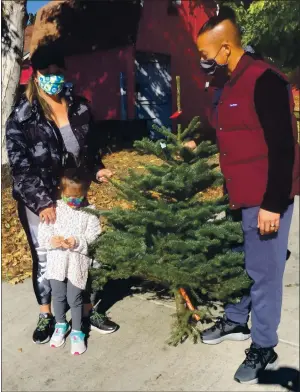  ?? RICH FREEDMAN — TIMES-HERALD ?? Vallejo’s Dang family — Phuong, Ha, and Devin, 3— snagged the tree they wanted at Loma Vista Farm on Saturday.