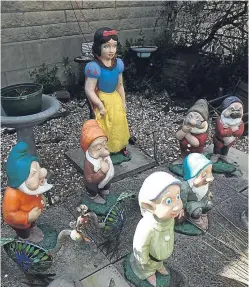  ?? Picture: Dougie Nicolson. ?? Unhappy: Snow White and the remaining six Dwarfs in Marion Benstead’s garden in Perth.