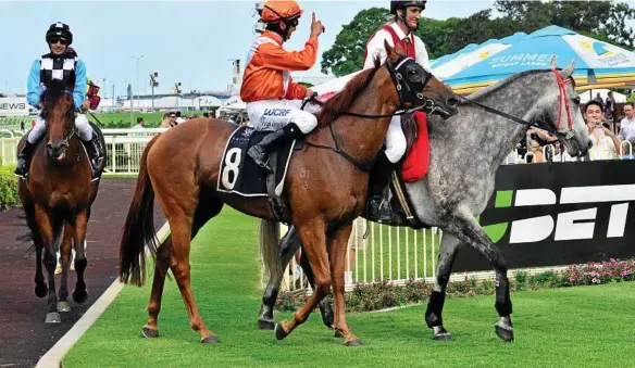  ?? PHOTO: NOEL PASCOE/RACING QUEENSLAND ?? NUMBER ONE: Nozi Tomizawa celebrates his win on Sylpheed in last month’s Listed Just Now Quality at Doomben.