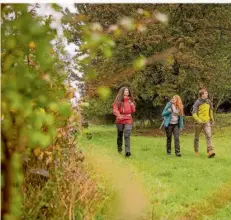  ?? FOTO: EIKE DUBOIS/SPT ?? Natur pur erlebt man auf dem Wanderweg „Rund um Dalem“in Mandelbach­tal. Die Touren kann man sich von der Webseite aufs Handy laden.