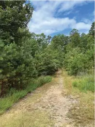  ?? The Sentinel-record/corbet Deary ?? ■ Caddo Bend Trail is a popular trek for both visitors and locals.