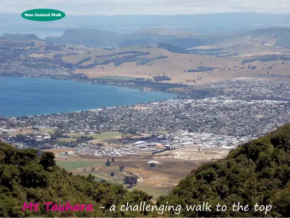  ??  ?? Mt Tauhara - a challengin­g walk to the top Above: A view looking down over the town of Taupo and lake. Below left: The track is a bit narrow and steep here.