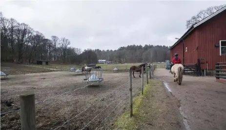  ?? Bild: Edvin Bergström ?? Cecilia Myrehag riktar skarp kritik mot de ansvariga för hanteringe­n av Emaus lantgård.