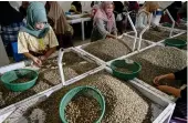  ?? AFP ?? This photo taken on Sept. 19, 2022 shows Indonesian workers sorting organic Gayo Arabica coffee beans at a coffee warehouse in the highlands of Takengon, Aceh province.