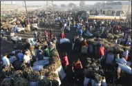  ?? (AP/Tsvangiray­i Mukwazhi) ?? People gather to buy charcoal Monday at a busy market in Lusaka, Zambia. Charcoal is used in most of the country’s urban households.