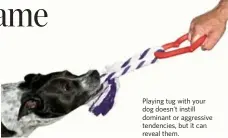  ?? DREAMSTIME ?? Playing tug with your dog doesn’t instill dominant or aggressive tendencies, but it can reveal them.