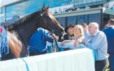  ??  ?? Phil Sullivan with successful racehorse Blue Book, which is now owned by his wife Tuija (also pictured by his side).