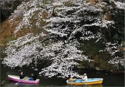  ?? KIM KYUNG-HOON / REUTERS ?? Visitors ride boats in a waterway next to blooming cherry blossoms at Chidorigaf­uchi Park in Tokyo, Japan, on March 27.