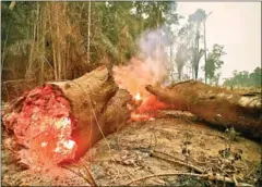  ?? CARL DE SOUZA/AFP ?? A fire burns in the Amazon rainforest, near Abuna, Rondonia state, Brazil, on Saturday.