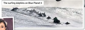  ??  ?? The surfing dolphins on Blue Planet II