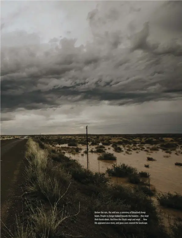  ?? ?? Before the rain, the veld was a cemetery of bleached sheep bones. People no longer looked towards the heavens – they kept their heads down. And then the clouds wept and wept… New life appeared once more, and grass soon covered the landscape.