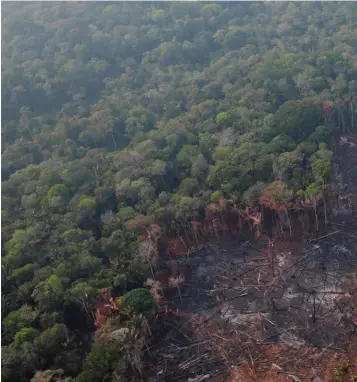  ??  ?? DESOLACION. El fuego dibujó nuevos contornos en la espesa selva del estado de Mato Grosso, Brasil.