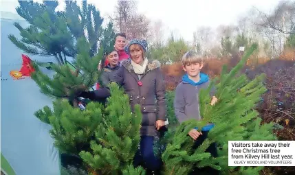  ?? KILVEY WOODLAND VOLUNTEERS ?? Visitors take away their free Christmas tree from Kilvey Hill last year.