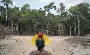  ?? AP Photo/Leo Correa, File ?? ■ Krimej Indigenous Chief Kadjyre Kayapo on Aug. 31, 2019, looks out at a path created by loggers on the border between the Biological Reserve Serra do Cachimbo, front, and Menkragnot­ire indigenous lands, in Altamira, Para state, Brazil. Deforestat­ion detected in the Brazilian Amazon broke all records for the month of April 2022, and that followed similar new records set in January and February, reflecting a worrisome uptick in destructio­n in a state deep within the rainforest.