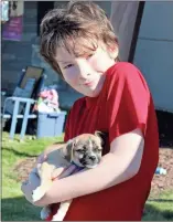  ?? John Popham ?? Robert Nicholson snuggles his new friend after adopting from PAWS on Saturday morning during the Bow Wow Luau.