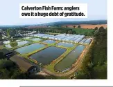  ??  ?? Calverton Fish Farm: anglers owe it a huge debt of gratitude.