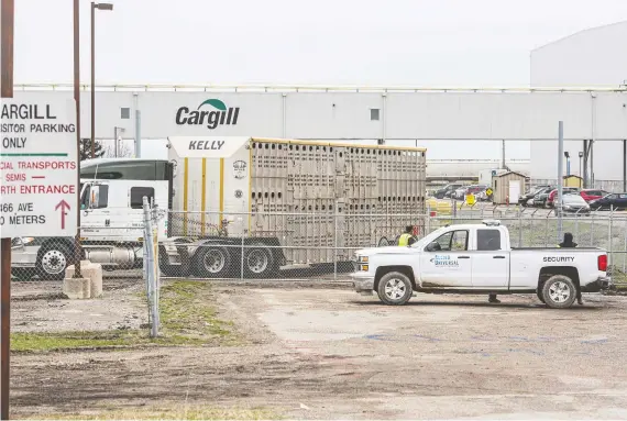  ?? ALEX RAMADAN/BLOOMBERG ?? The COVID-19 outbreak at the Cargill beef plant in High River, Alta., has revived concerns about the lack of diversific­ation in Canadian beef processing.