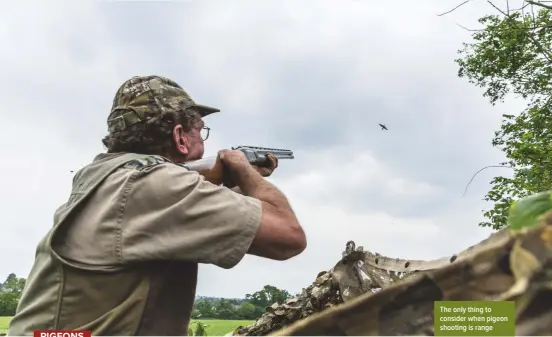  ??  ?? The only thing to consider when pigeon shooting is range