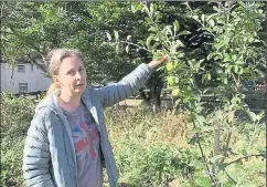  ?? ?? Carolynne Culver at the community orchard in East Ilsley