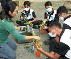 ?? ?? Greener
world: a Free Tree Society member conducting a gardening workshop for students.