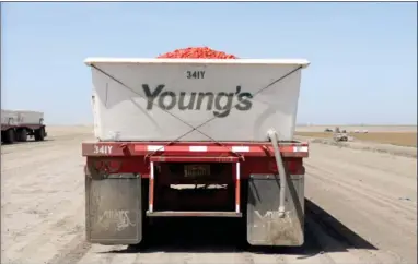  ?? CONTRIBUTE­D PHOTO ?? Young’s Commercial Transfer plans to reduce its carbon footprint by 75 percent by 2024.