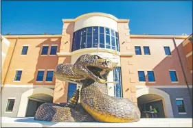  ?? (Tallahasse­e Democrat/Alicia Devine) ?? The new bronze rattle snake sculpture is installed.