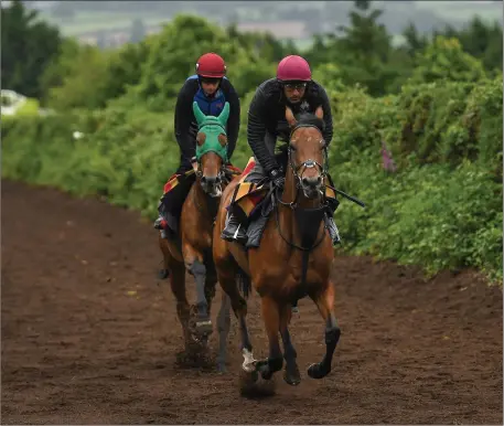  ??  ?? JJ Slevin on Mighty Blue (left), and Fasel Khan on Trissha, on the gallops during a Joseph O’Brien yard visit at Owning Hill in Kilkenny on Sunday.