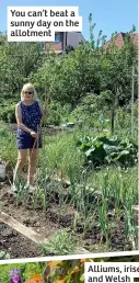  ?? ?? You can’t beat a sunny day on the allotment