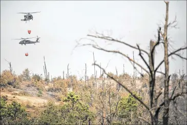  ??  ?? Texas National Guard helicopter­s carry water to drop on troubled fire areas Sunday afternoon in Smithville. A U.S. Forest Service official said a major impediment has been “unburned islands,” pockets of trees that haven’t yet burned.