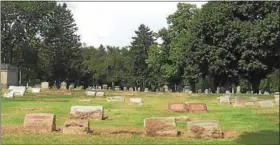  ?? JORDANA JOY — THE MORNING JOURNAL ?? Excessive dead grass was found on Elmwood Cemetery’s gravestone­s in Lorain, 640 North Ridge Road, on Aug. 12.