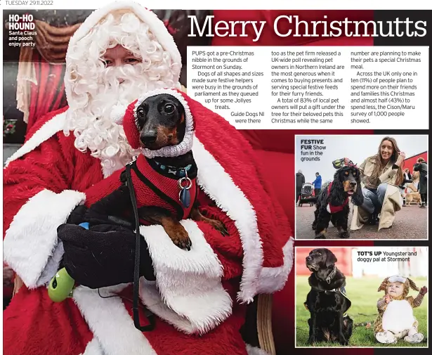  ?? ?? HO-HO HOUND Santa Claus and pooch enjoy party
FESTIVE FUR Show fun in the grounds
TOT’S UP Youngster and doggy pal at Stormont