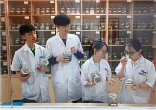  ??  ?? IMU students in Chinese Medicine programme (from left) Mak Wai Lum, Desmond Tee, Loh Poh Wen, Lee Ket Ching.