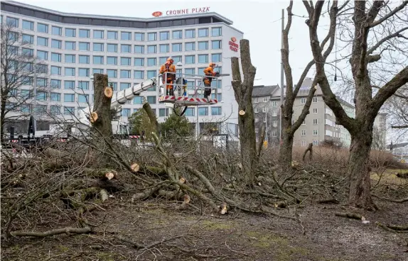  ?? FOTO: NIKLAS TALLQVIST ?? ■
Utsikten mot hotellen Scandic Park och Crown Plaza sedd från Hesperiapa­rken på fredagseft­ermiddagen.