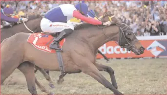  ??  ?? MARINARESC­O, runner-up last year, went one better under Bernard Fayd’herbe in yesterday’s Vodacom Durban July making trainer Candice Bass-robinson the first woman to train the winner in the 120-history of the race.