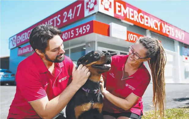  ?? Picture: BRENDAN RADKE ?? PATIENT HANDLING: Emergency Vets 24/7 head vet Dr Richard Page and head nurse Becky Allison with Eddie the rottweiler.