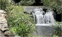  ?? PHOTO: MARION VAN DIJK/FAIRFAX NZ ?? The Original Stone Weir at The Brook Waimarama Sanctuary.