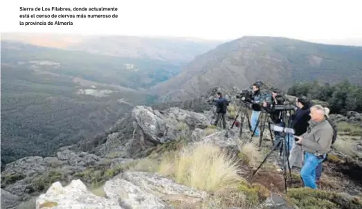  ??  ?? Sierra de Los Filabres, donde actualment­e está el censo de ciervos más numeroso de la provincia de Almería