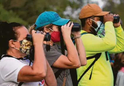  ?? Photos by Godofredo A. Vásquez / Staff photograph­er ?? Joanne Bradbury, from left, Anna Valley and Royce Daniels try to spot birds during a bird walk at Spring Creek Nature Trails.