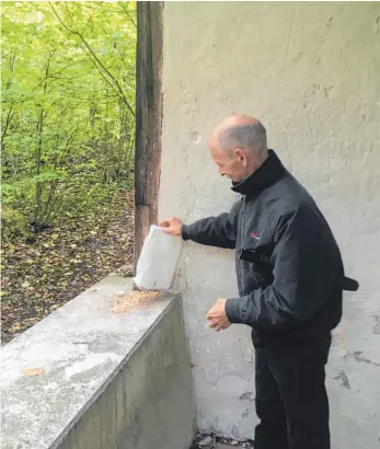  ?? FOTO: WERNER KNUBBEN ?? Josef Mielke kümmert sich täglich um das Wohlergehe­n der Vögel bei der Kapelle.